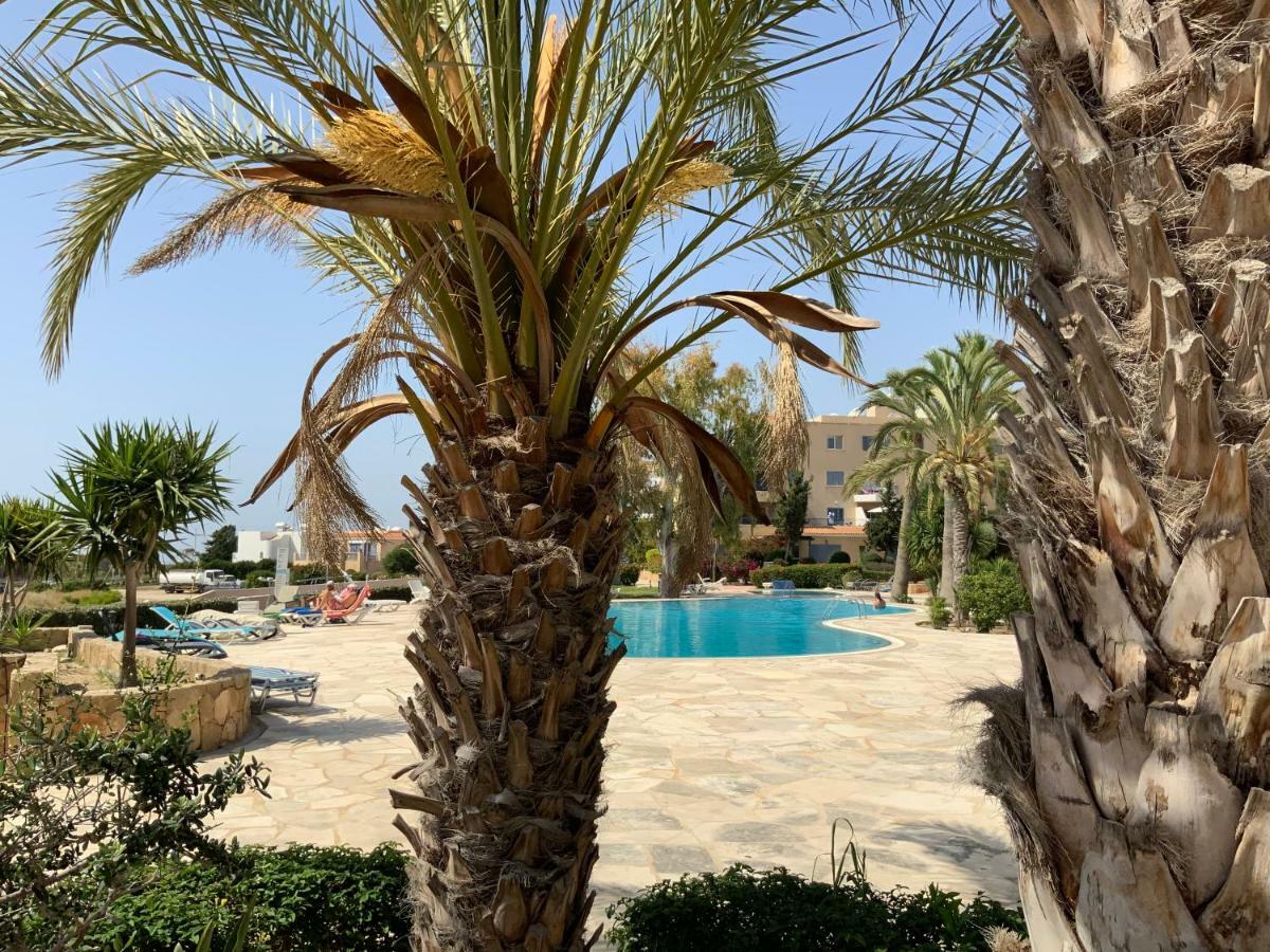 Kings Palace Indigo 109 Paphos Exterior photo